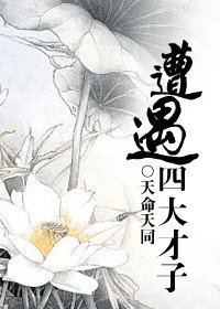 《(四大才子同人)遭遇四大才子》