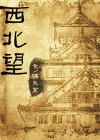 《西北望》