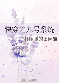 《快穿之九号系统》