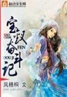 《宝钗奋斗记》