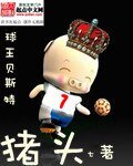 《球王贝斯特》