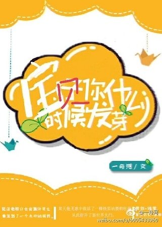 宝贝你什么时候发芽