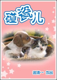 《碰瓷儿》
