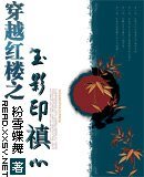 《(红楼梦同人)穿越红楼之玉影印禛心》