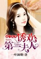 《豪门权宠:诱欢,第一夫人》