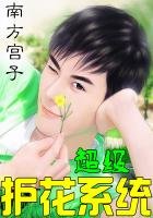 《超级护花系统》