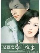 《总裁之豪门哑妻》