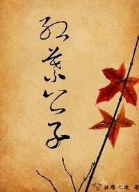 《红叶公子》