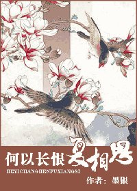 《何以常恨复相思》