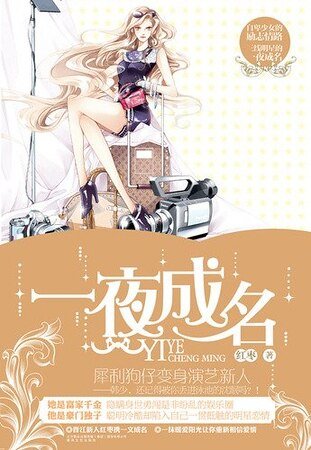 《一夜成名(出书版)》