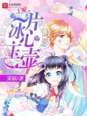 《一片冰心玉壶》