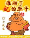《谁动了妃的肚子》