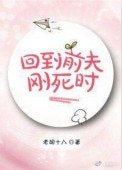 《回到前夫刚死时》