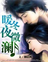 《暖冬夜微澜:总裁的神秘情人》