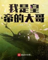 《我是皇帝的大哥》