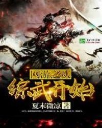 《网游之从综武开始》