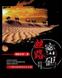 《丝路密码》