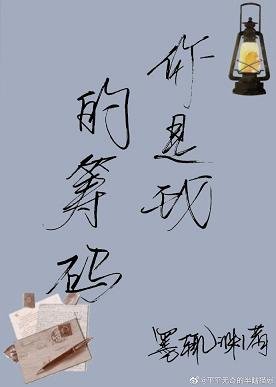 《你是我的筹码》