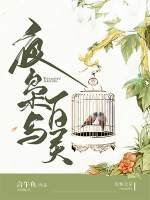 《夜枭与百灵》
