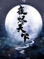 《夜烬天下》