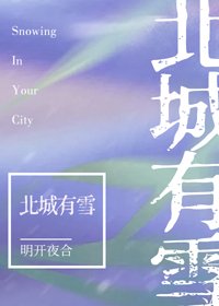 《北城有雪》
