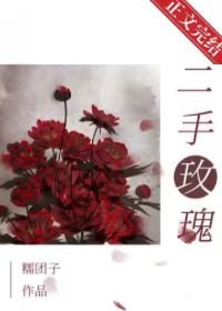 《二手玫瑰》