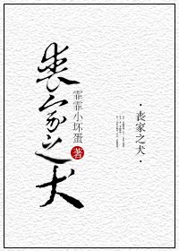 《丧家之犬》