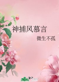 《神捕风慕言》
