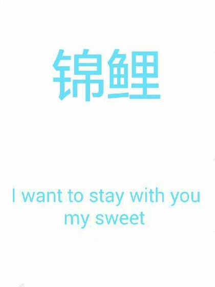 《锦鲤》