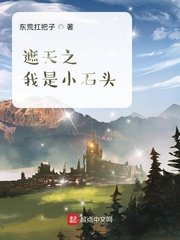 《遮天之我是小石头》