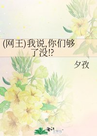《(网王)我说,你们够了没!?》