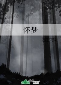 《怀梦》