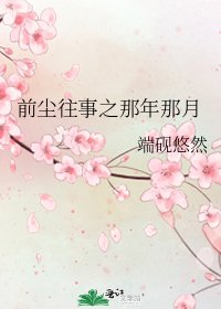 《前尘往事之那年那月》