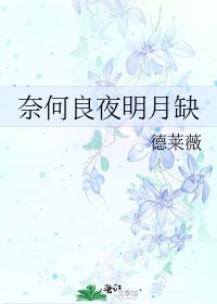 《奈何良夜明月缺》
