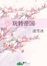 《玩转帝国》