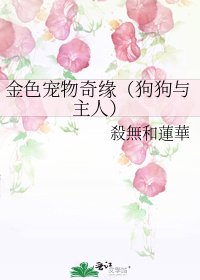 《金色宠物奇缘(狗狗与主人)》