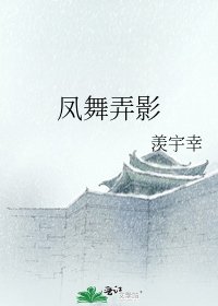 《凤舞弄影》