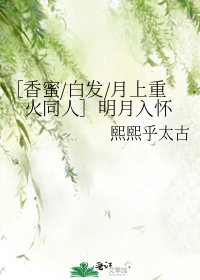 （综同人）［香蜜/白发/月上重火同人］明月入怀 