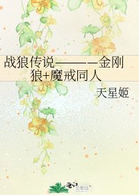 《战狼传说————金刚狼+魔戒同人》