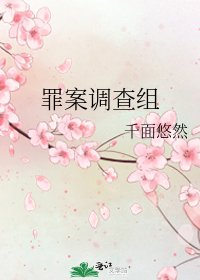 《罪案调查组》