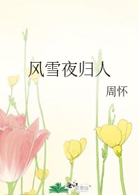 《风雪夜归人》