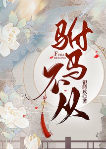 《驸马不从》