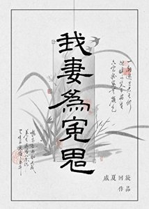 《我妻为冤鬼gb》