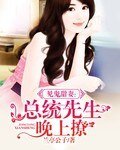 《见鬼甜妻:总统先生晚上撩》